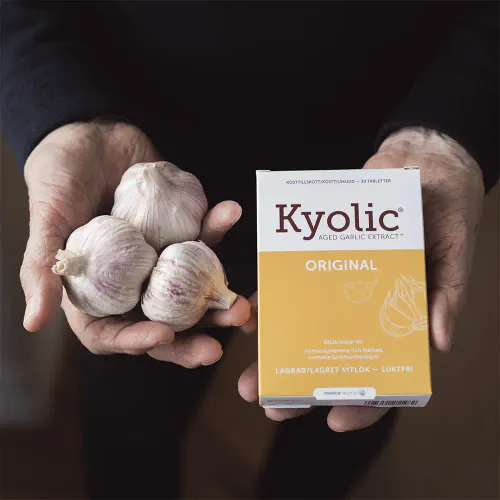 Kyolic Aged Garlic 600 mg Tabletter 90 stk